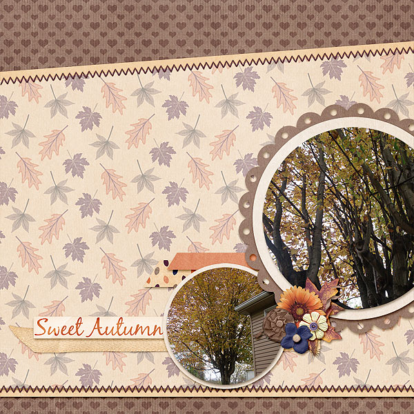 Sweet Autumn