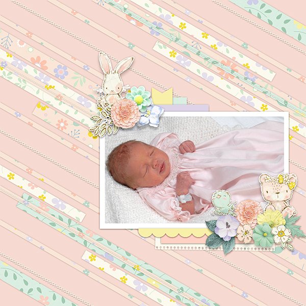 Sweet Baby Girl