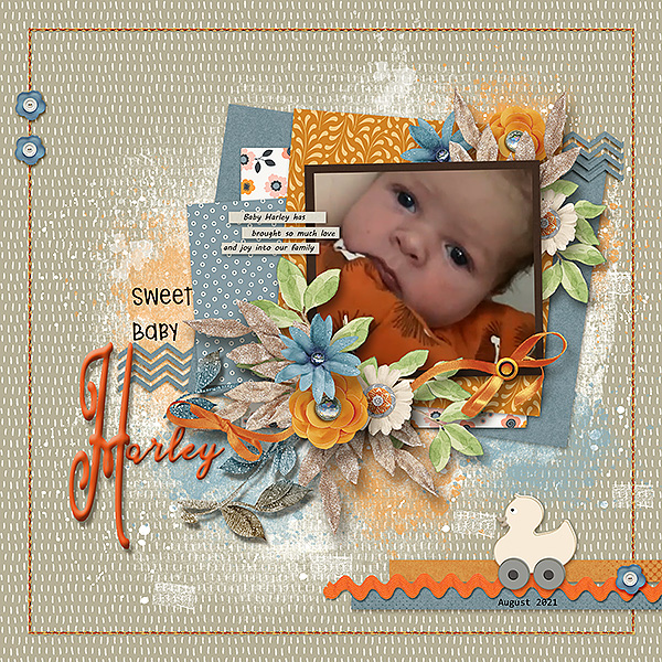 Sweet Baby Harley