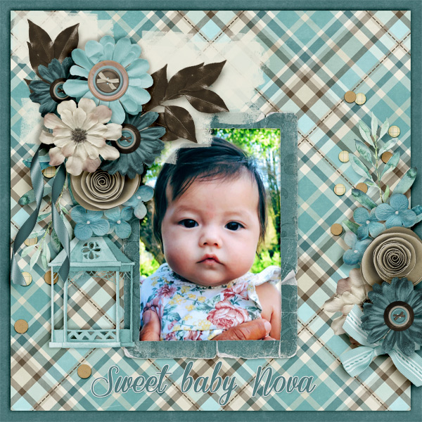 Sweet-baby-Nova-600