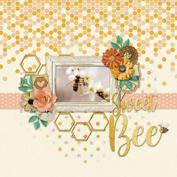 Sweet Bee