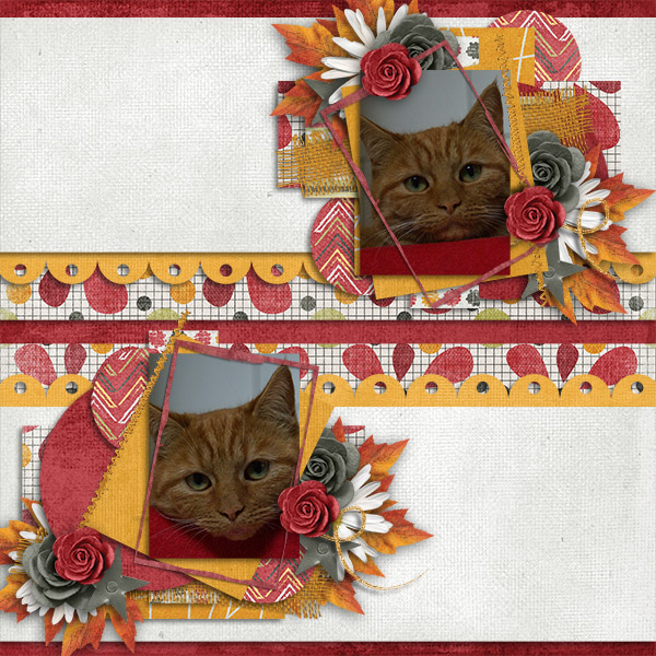 Sweet Bella...