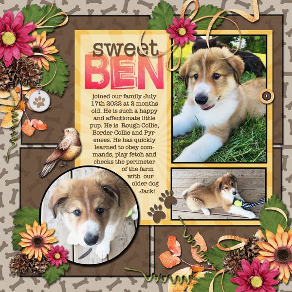 Sweet Ben