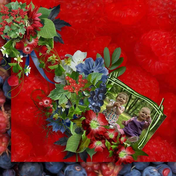 sweet berries