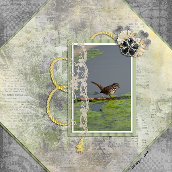 Sweet Bird