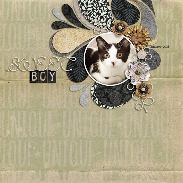 sweet boy