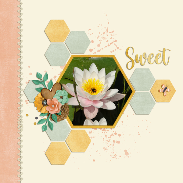 sweet bumblebee