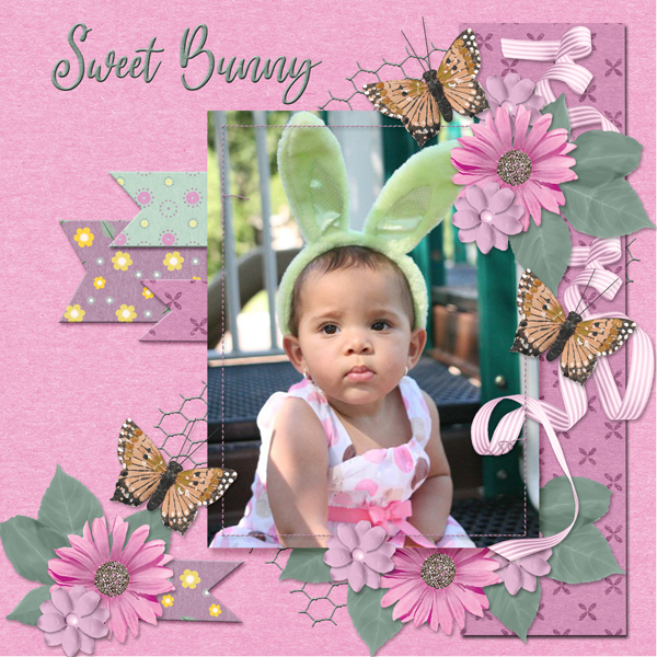 Sweet Bunny