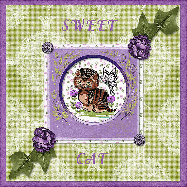 Sweet Cat