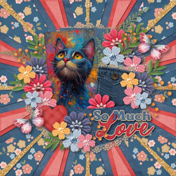 sweet cat