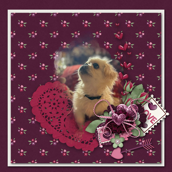 sweet charlie