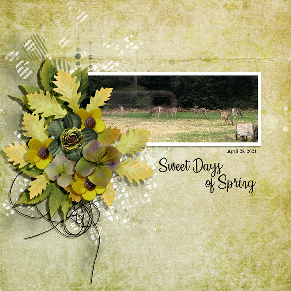 SWEET DAYS OF SPRING