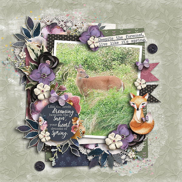 Sweet Deer