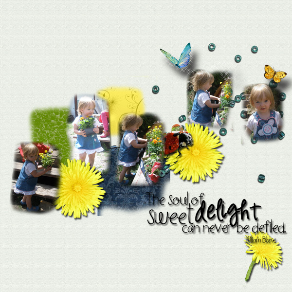 sweet delight