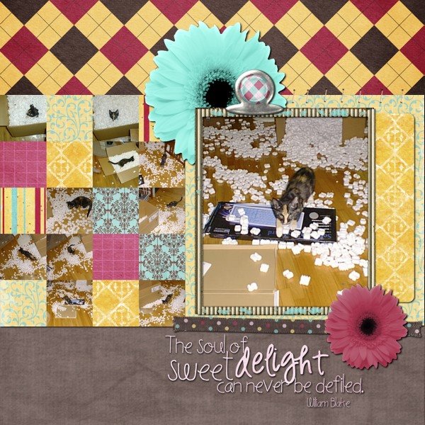 Sweet Delight