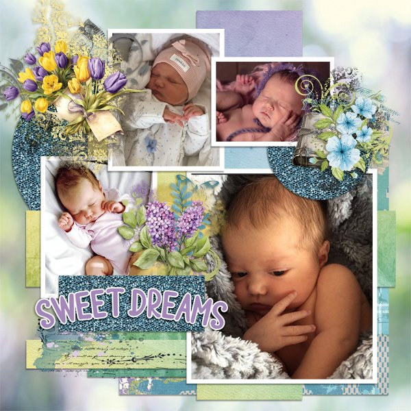 Sweet-dreams 2.jpg