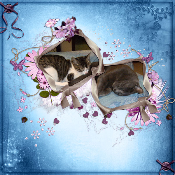 sweet dreams