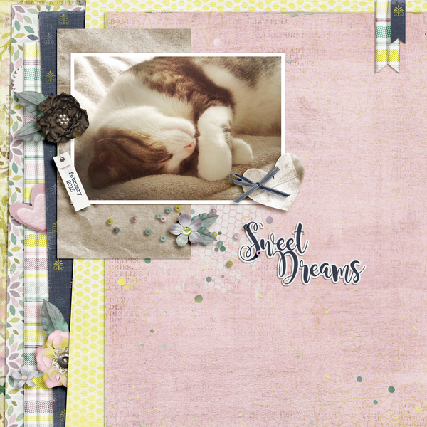 sweet dreams
