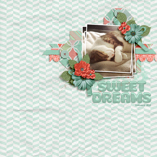 sweet dreams