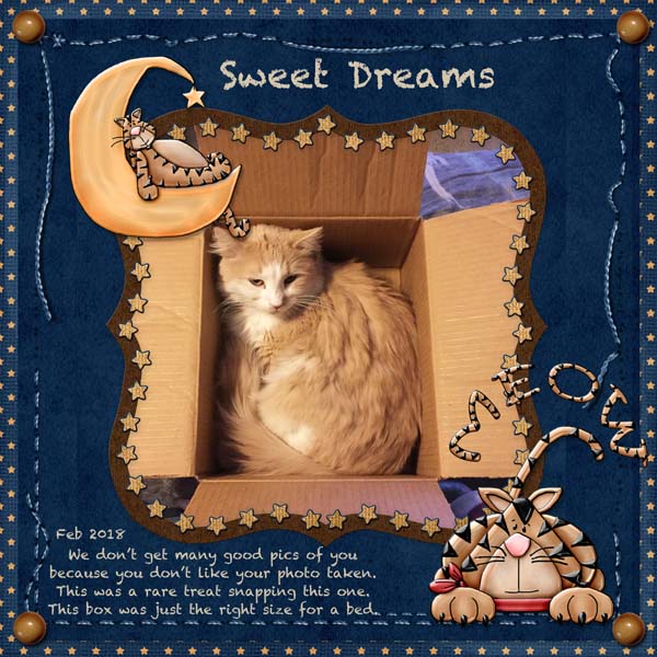 Sweet Dreams