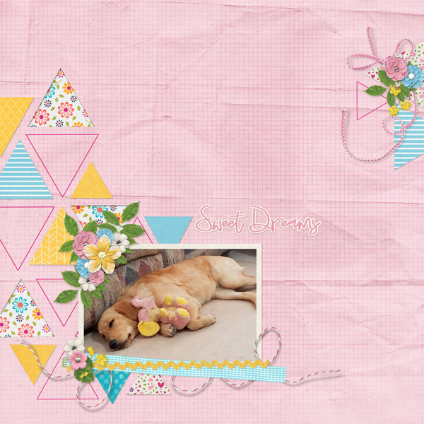 Sweet Dreams