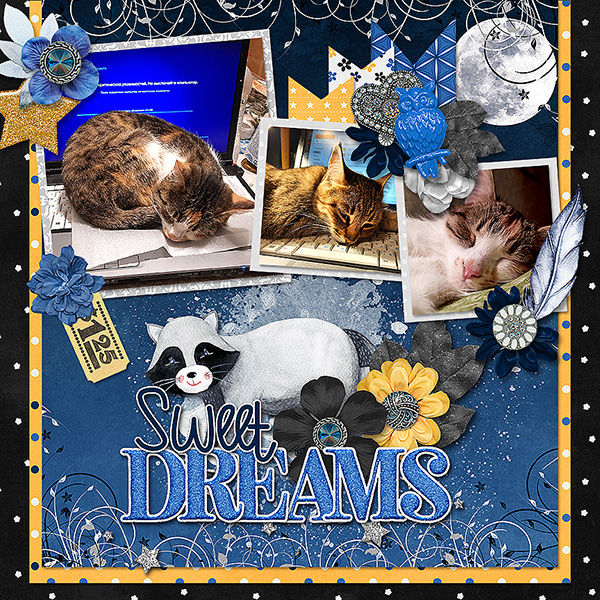 Sweet Dreams