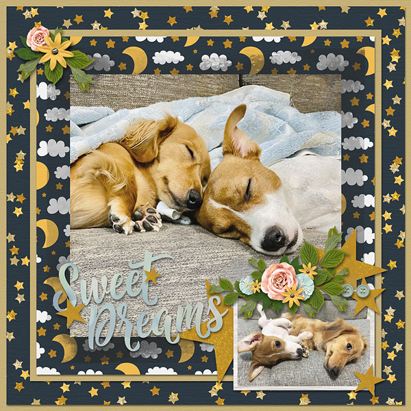 Sweet Dreams