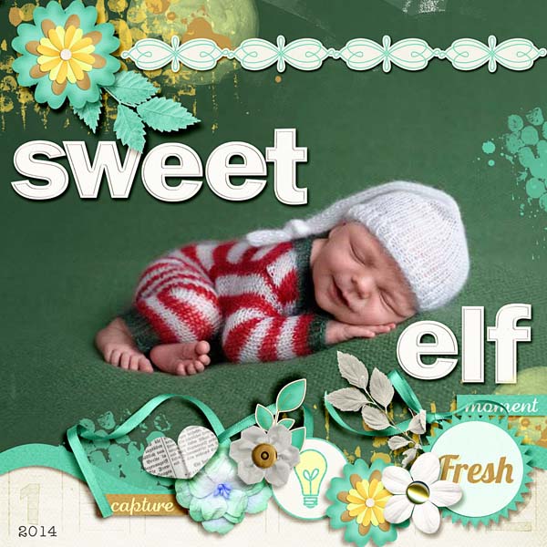 Sweet Elf