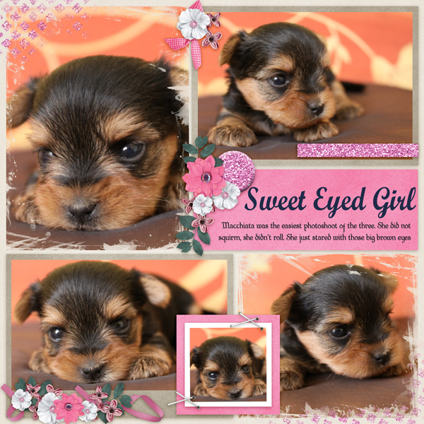 Sweet Eyed Girl