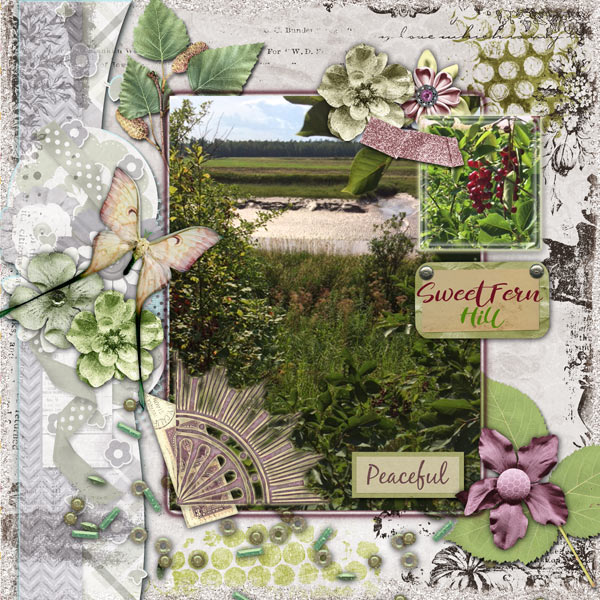 Sweet Fern Hill