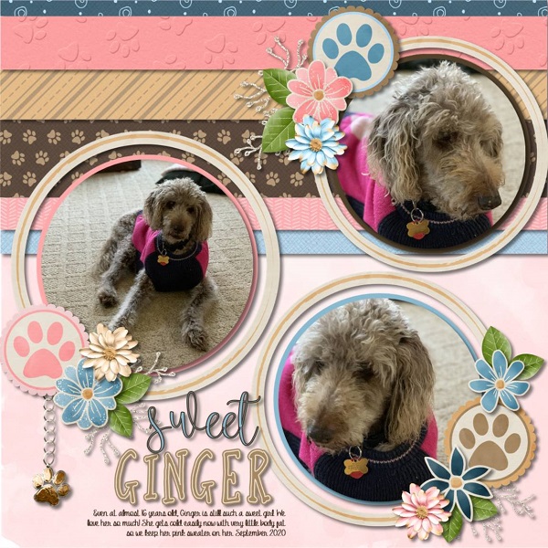 sweet Ginger