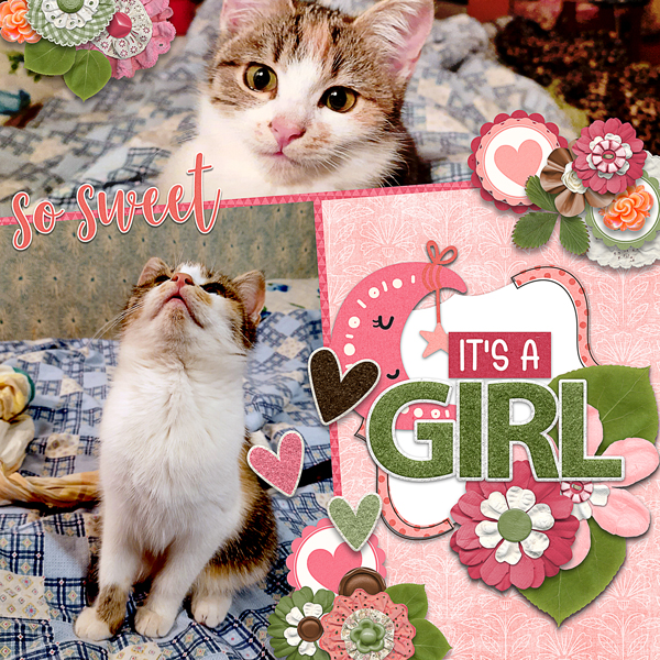 Sweet Girl