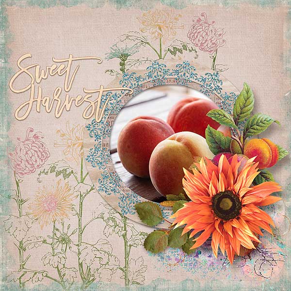 Sweet Harvest