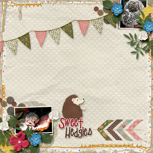 Sweet Hedgies