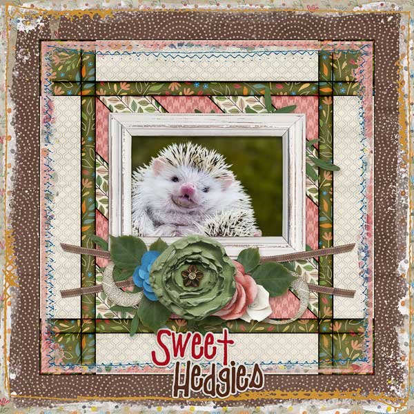Sweet Hedgies