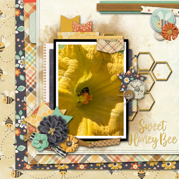 Sweet Honey Bee