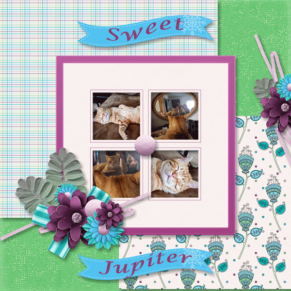 Sweet Jupiter