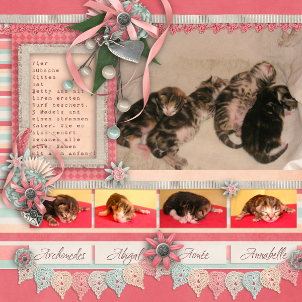 Sweet Kitten