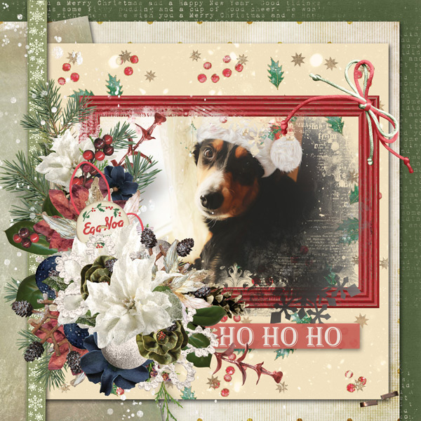 sweet Lasie waiting for Santa