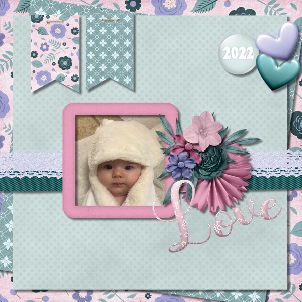 Sweet Lily