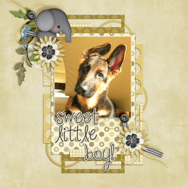Sweet little boy