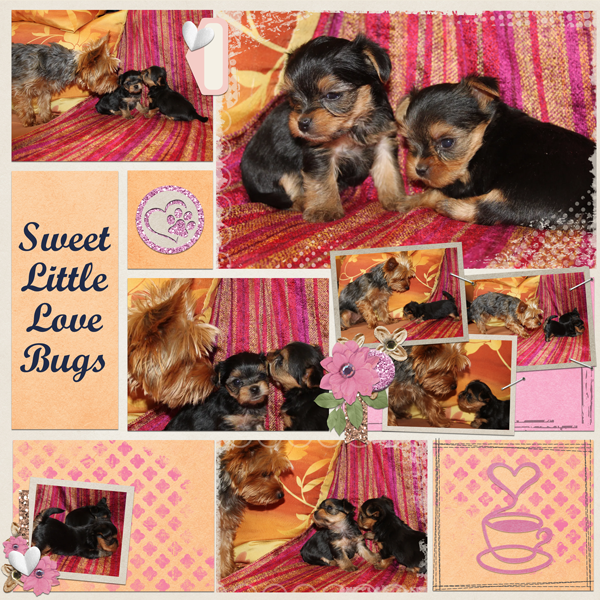 Sweet Little Love Bugs