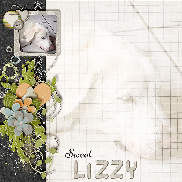 Sweet Lizzy