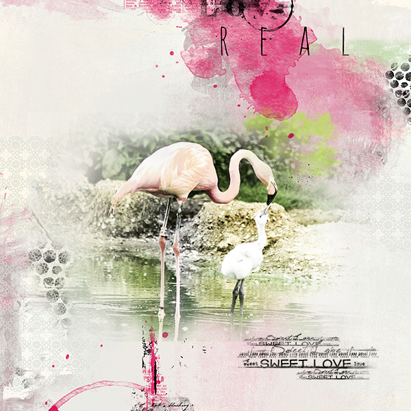 Sweet Love