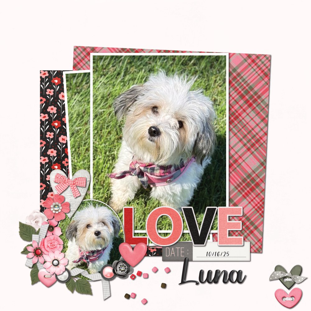 Sweet Luna 10-16-25