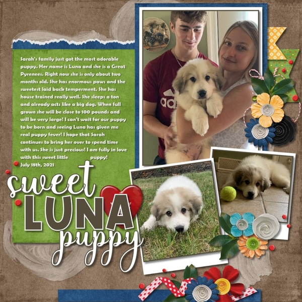 Sweet Luna Puppy