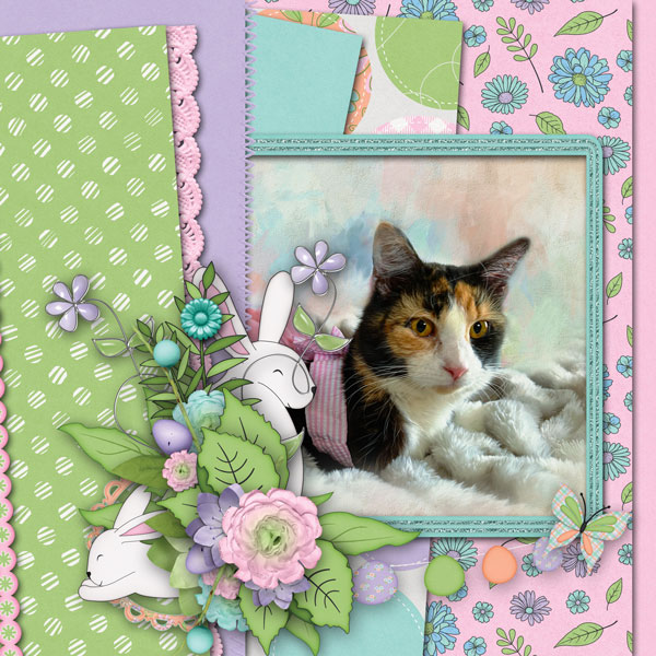 sweet marie