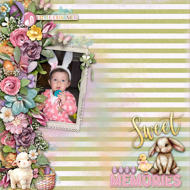 Sweet Memories - iNSD 2025