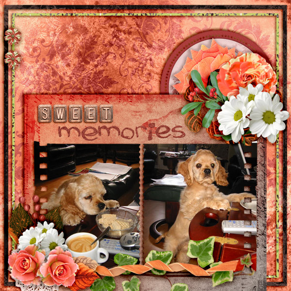 Sweet-memories6