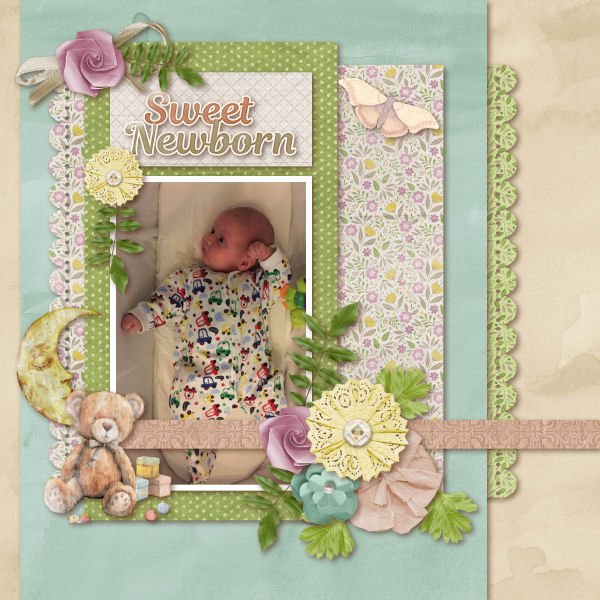 Sweet Newborn